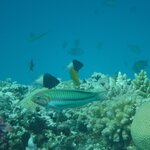 Photo taken by Chris M