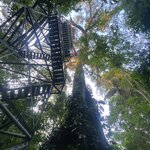 Photo taken by Nicole S