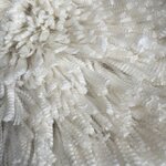 Photo taken by Rosemary S