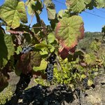 Photo taken by Julie G