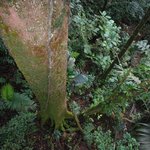 Photo taken by William R