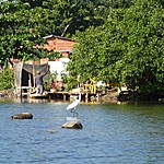 Photo taken by Janice B