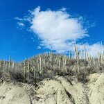 Photo taken by Pacita D