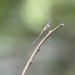 Photo taken by Darcy M