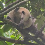 Photo taken by Cindy S