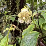 Photo taken by Patrice G