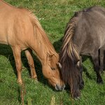 Photo taken by William A