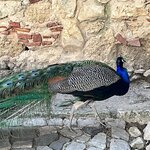 Photo taken by Deirdre H