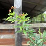 Photo taken by Kim C