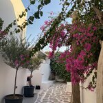 Photo taken by Carole D