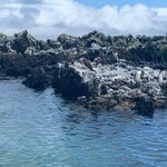 Photo taken by Stephanie A