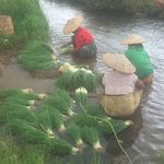 Photo taken by Rachael W