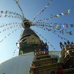 Photo taken by Graham W