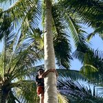 Photo taken by KLAUS A