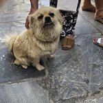 Sweet boy | Photo taken by Alexandra S