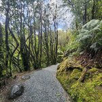 Photo taken by Scott L