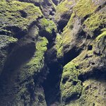 Photo taken by Pamela C