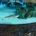 The Mall | Photo taken by Leah H