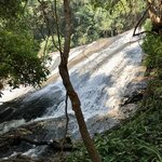 Photo taken by Shaula L