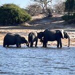 Photo taken by Janie W