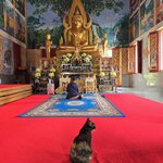 Photo taken by Audrea H