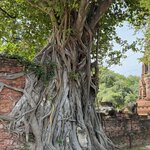 Photo taken by David d