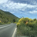 Photo taken by Shawn G