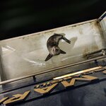 Photo taken by Jessica V