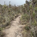 Photo taken by Kristin M