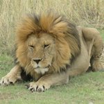 Photo taken by Kristin M