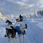 Photo taken by Ellyn V