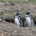 Photo taken by Marcia R