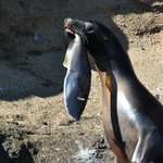 Photo taken by Natascia V