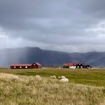 Photo taken by Laurence C