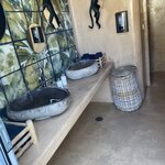 Photo taken by Cheryl L