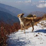 Photo taken by Amy S