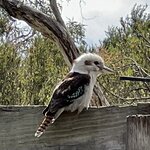 Photo taken by Rosemary S