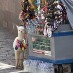 Photo taken by Behzad A