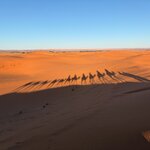 Photo taken by Bess K