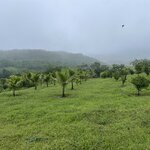 Photo taken by Alexia M