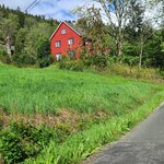 Photo taken by Tamara N