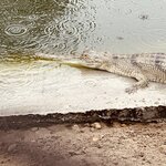 Photo taken by don m