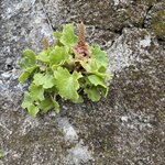 Photo taken by Catherine H