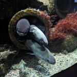 Photo taken by Sarah B