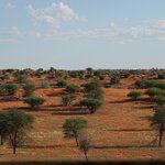 Photo taken by Sandro P