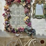 Photo taken by Kassie R