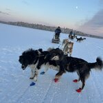 Photo taken by Jennifer D