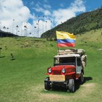 Valle de Cocora | Photo taken by Peter G