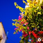 Photo taken by Aaron L