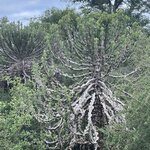 Photo taken by Jeanine B